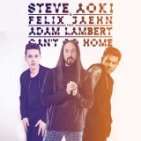 دانلود اهنگ جدید Cant Go Home Like This از Steve Aoki Felix Jaehn Adam Lambert