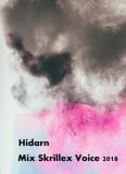 دانلود آهنگ Hidarn Mix Skrillex 2018 (بیکلام)